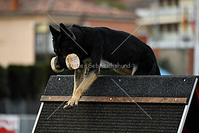 Bono Extreme Arakon Land