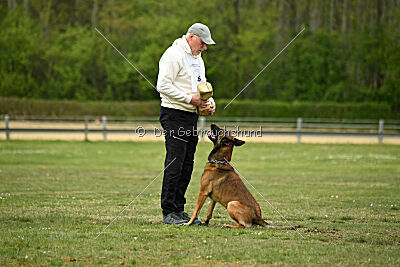Boomer vom Further Moor