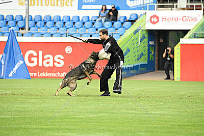 Boomer vom Wolfsdreieck