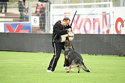 Boomer vom Wolfsdreieck