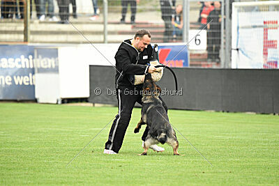 Boomer vom Wolfsdreieck