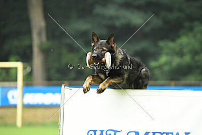 Boomer vom Wolfsdreieck