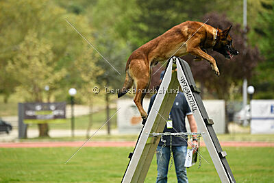 Boyka de Fontemordant