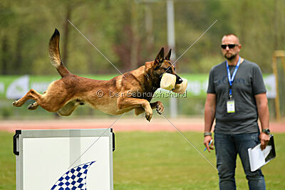 Boyka de Fontemordant