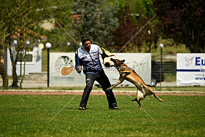 Boyka de Fontemordant