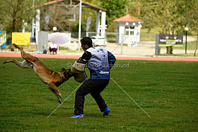 Boyka de Fontemordant