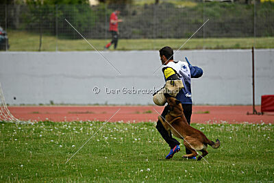 Boyka de Fontemordant