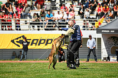 Boyka de Fontemordant
