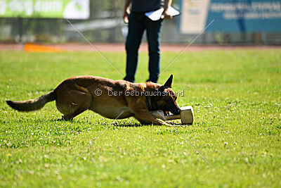 Boyka de Fontemordant