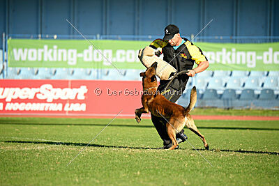 Boyka de Fontemordant