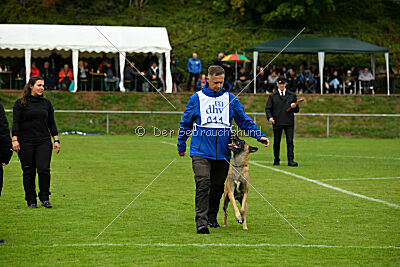 Brave Brisko von den zauberhaften Teufeln