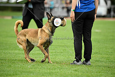 Bree Bonfire von Zamonien