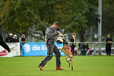 Brianna vom Giannioti Sports Dog