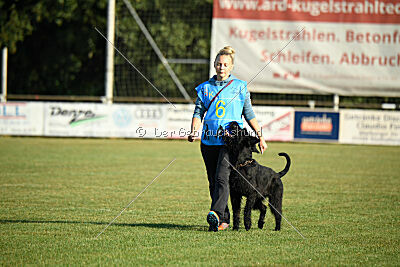 Brise von Elberfeld