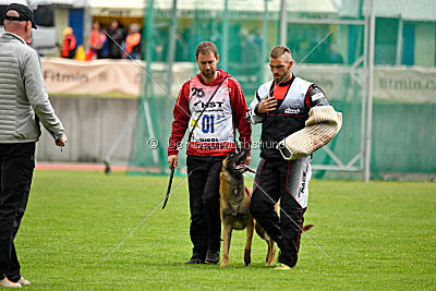 Brixx von der Schwarzen Mamba