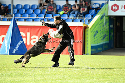 Broxx Canis Invictus