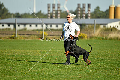 Brückendorfer Bonni