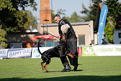 Buddy vom Hexenzauber