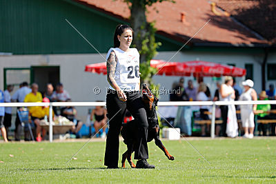 Buddy vom Hexenzauber