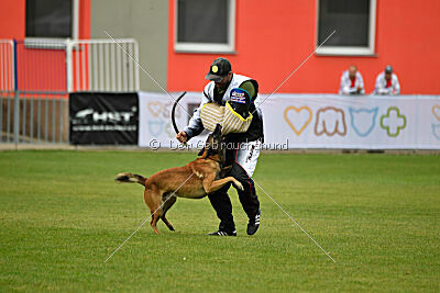 Bullet Mapet