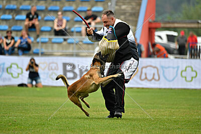 Bullet Mapet