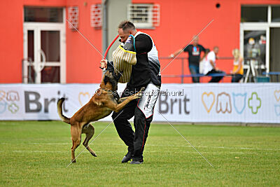 Bullet Mapet