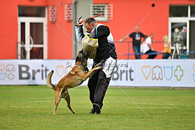 Bullet Mapet