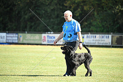 Bullit vom Lindelbrunn