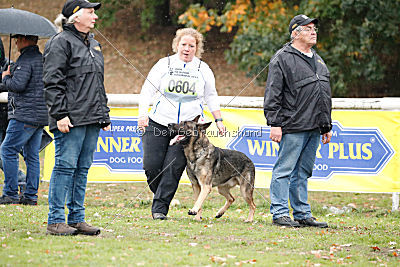 Bushido von Hund und Sport
