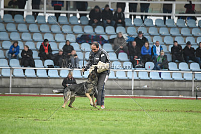 Bushido von Hund und Sport