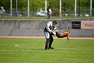 Butch de la Videmanette