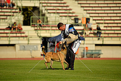 Cadha Force Canina