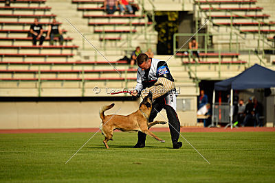 Cadha Force Canina