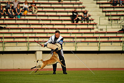 Cadha Force Canina