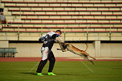 Cadha Force Canina