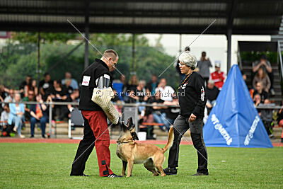 Caja von der schwarzen Mamba