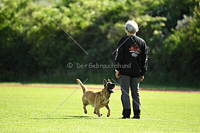 Caja von der schwarzen Mamba