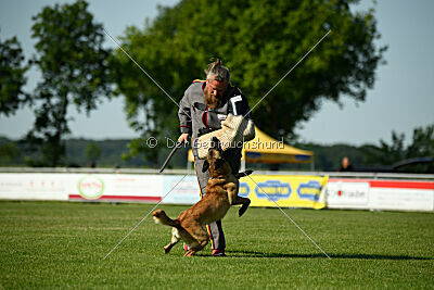 Caja von der schwarzen Mamba