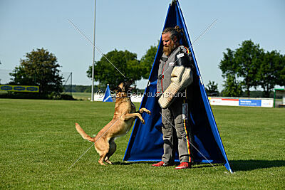 Caja von der schwarzen Mamba