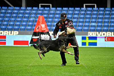 Cali vom alten Gatter