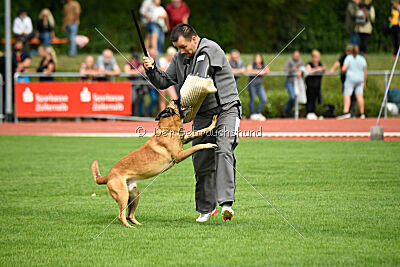 Calle von der schwarzen Mamba