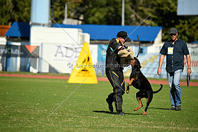 Cape Secure Hector