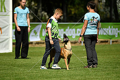 Caramba von der schwarzen Mamba