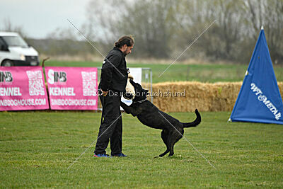 Cash Black Highspeed Devil