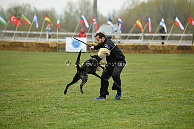 Cash Black Highspeed Devil