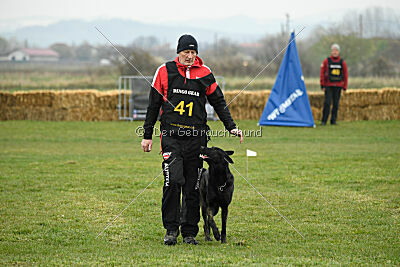 Cash Black Highspeed Devil