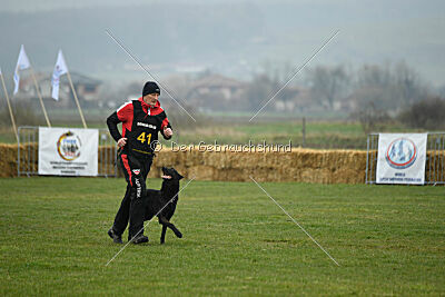 Cash Black Highspeed Devil