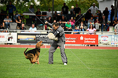 Cedrik vom Roten Milan