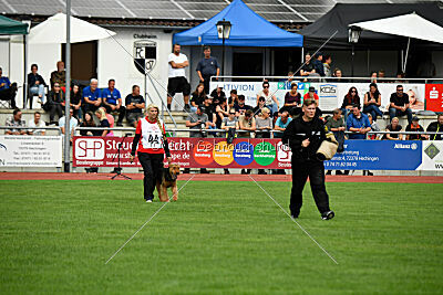 Cedrik vom Roten Milan