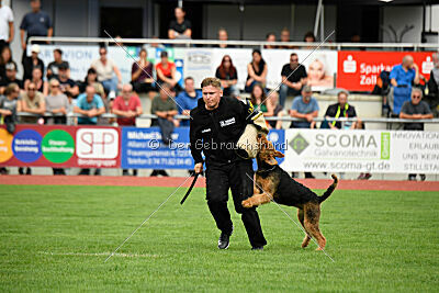 Cedrik vom Roten Milan